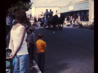 Shari Parade 5